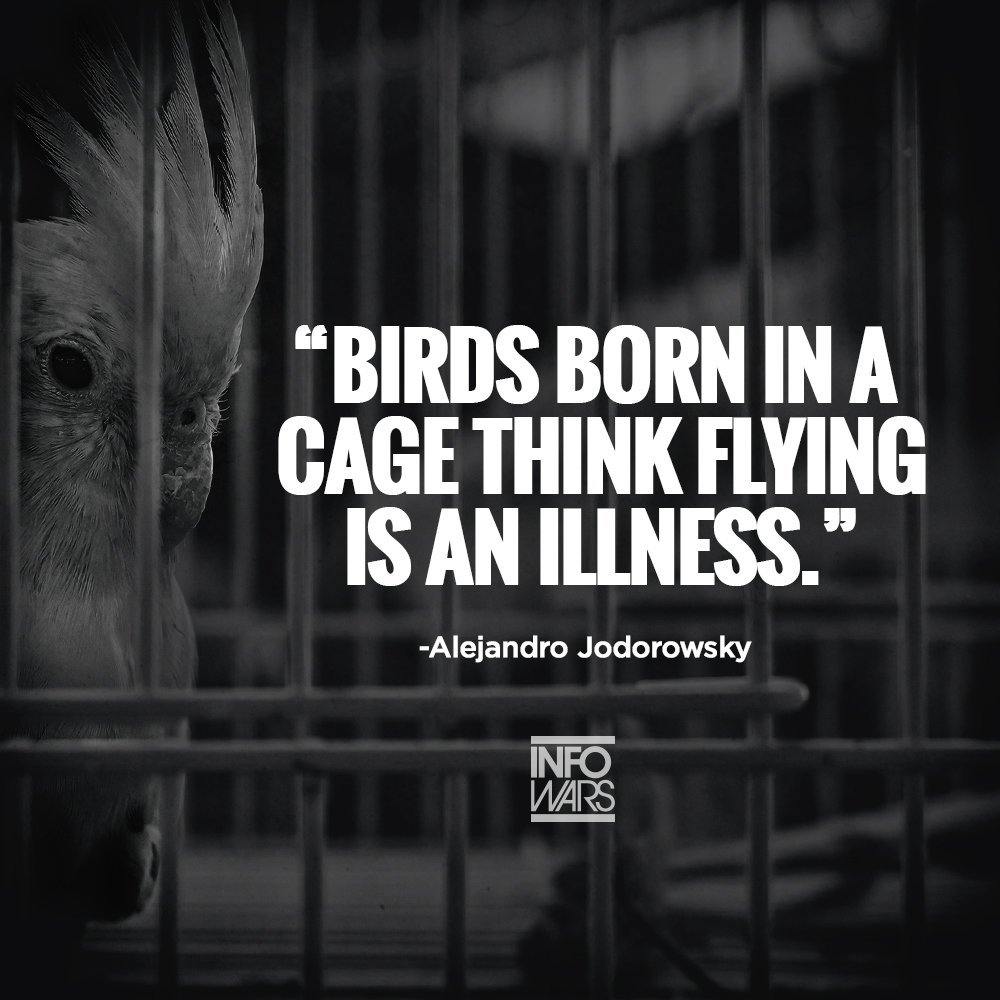 RealAlexJones's tweet photo. https://t.co/4bFrzpSCNb