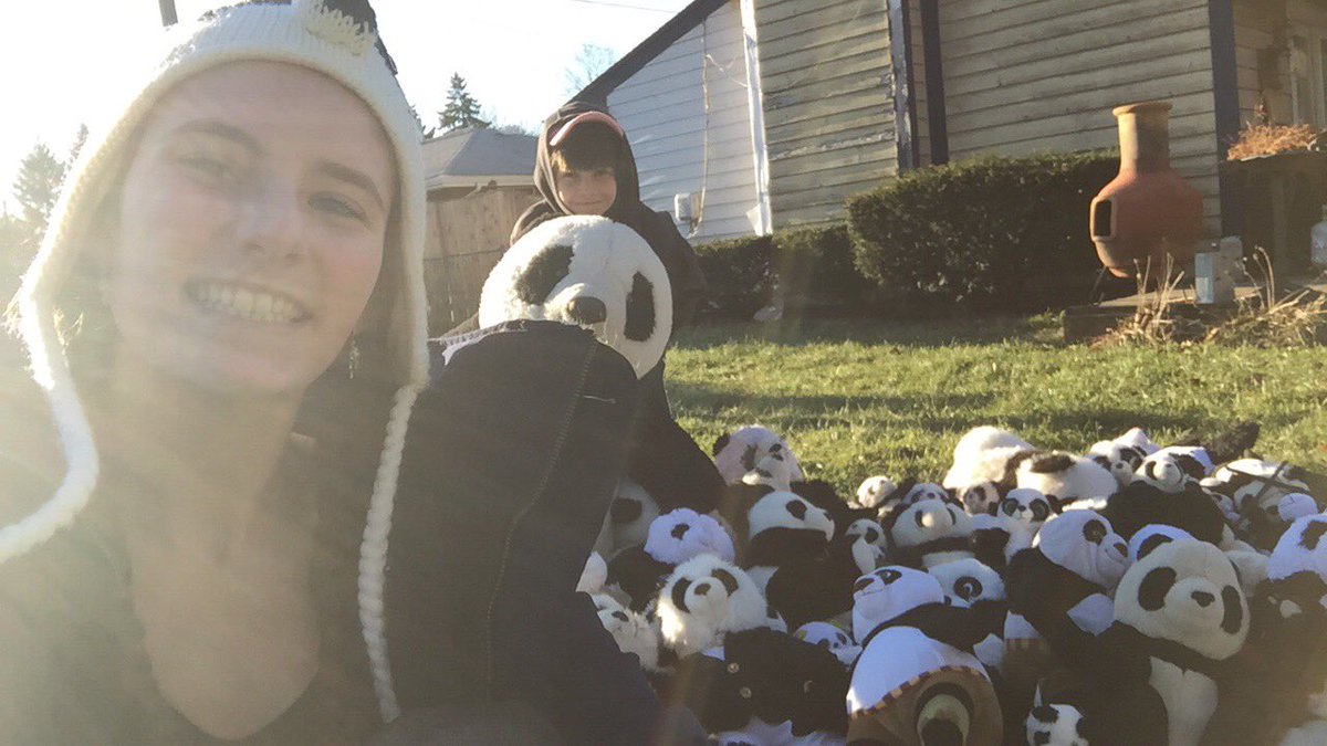 The_Mimzy's tweet photo. My sister just held a funeral in our backyard for the oldest panda in the world, Pan Pan, who died today. https://t.co/7hwfNVEk04