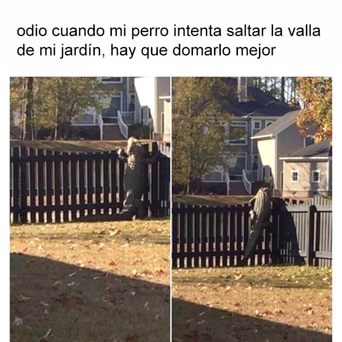 yisucrist's tweet photo. suele pasar https://t.co/7pxYTBeqt5