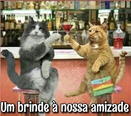 M@®|∆π® #TimBeta#SDV (@marimouraqroz) on Twitter photo 