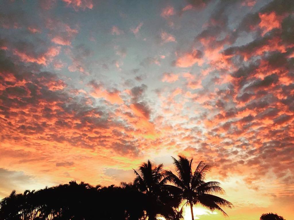 the_olivia_jane's tweet photo. This view never gets old. . #sunset #backyard #soflaliving #soflawinter https://t.co/Zi84HYTLw3 https://t.co/IDTXBH16he