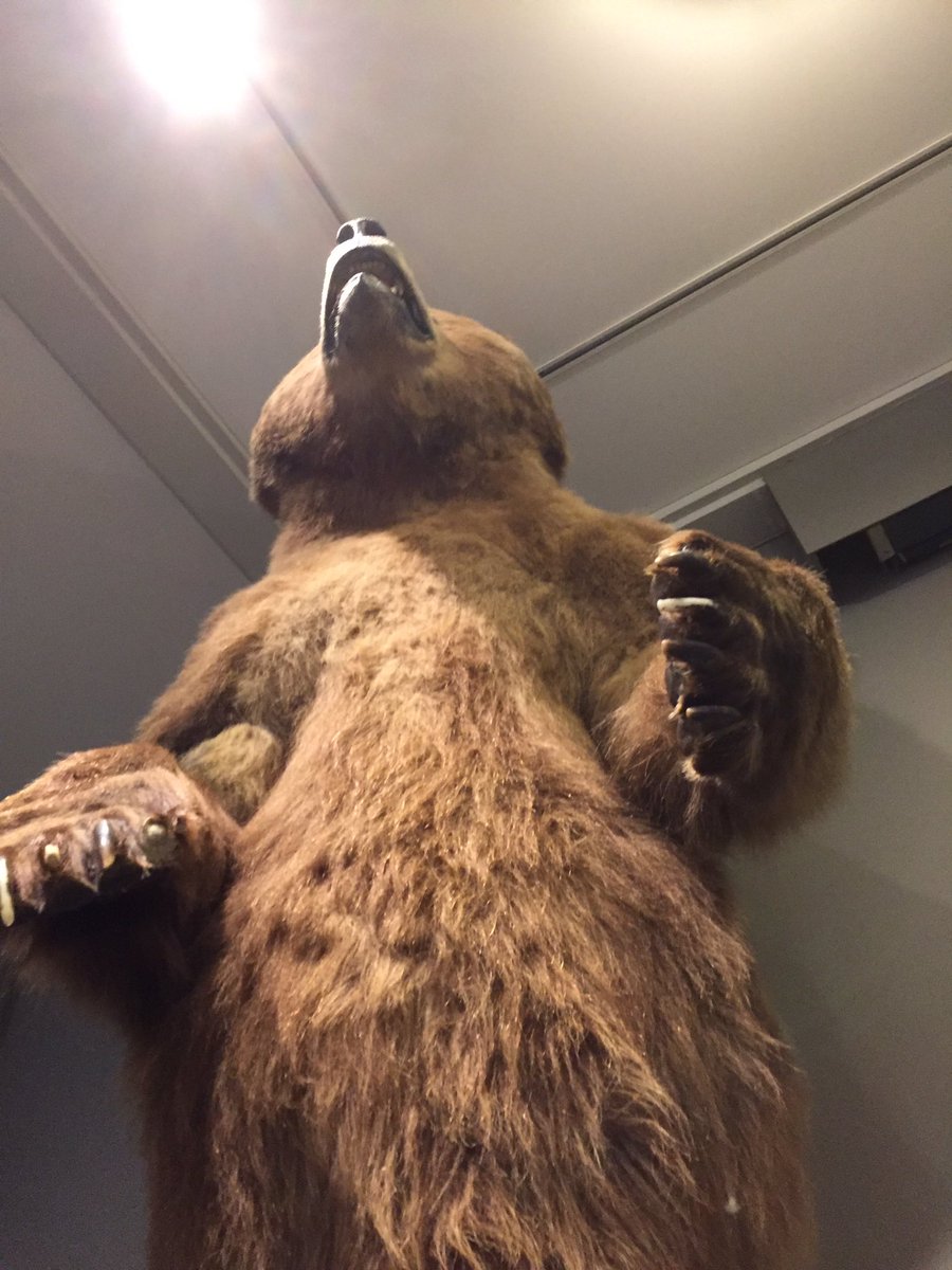 MsMMula's tweet image. #perspective #TeachPhotoChallenge