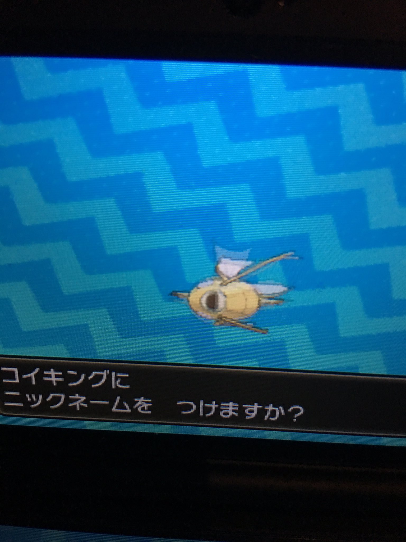 よみたそ ポケモンsm初色固定孵化 今日色違い出したいなーとか言ってたら寝起き一発目が金コイキングだった というわけで色違いのメテノに 感想としてはコイキングの孵化作業ひじょーにつまらなかった W 次は普通に国際孵化しよう ちなみに