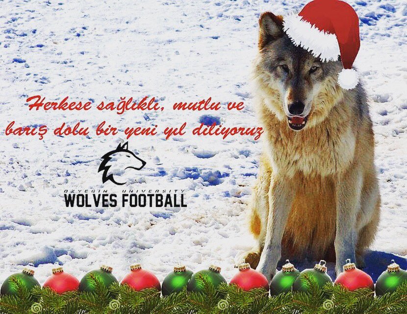 OzU_Wolves's tweet photo. Mutlu Yıllar!  #GoWolves https://t.co/gXG7xEXIxg