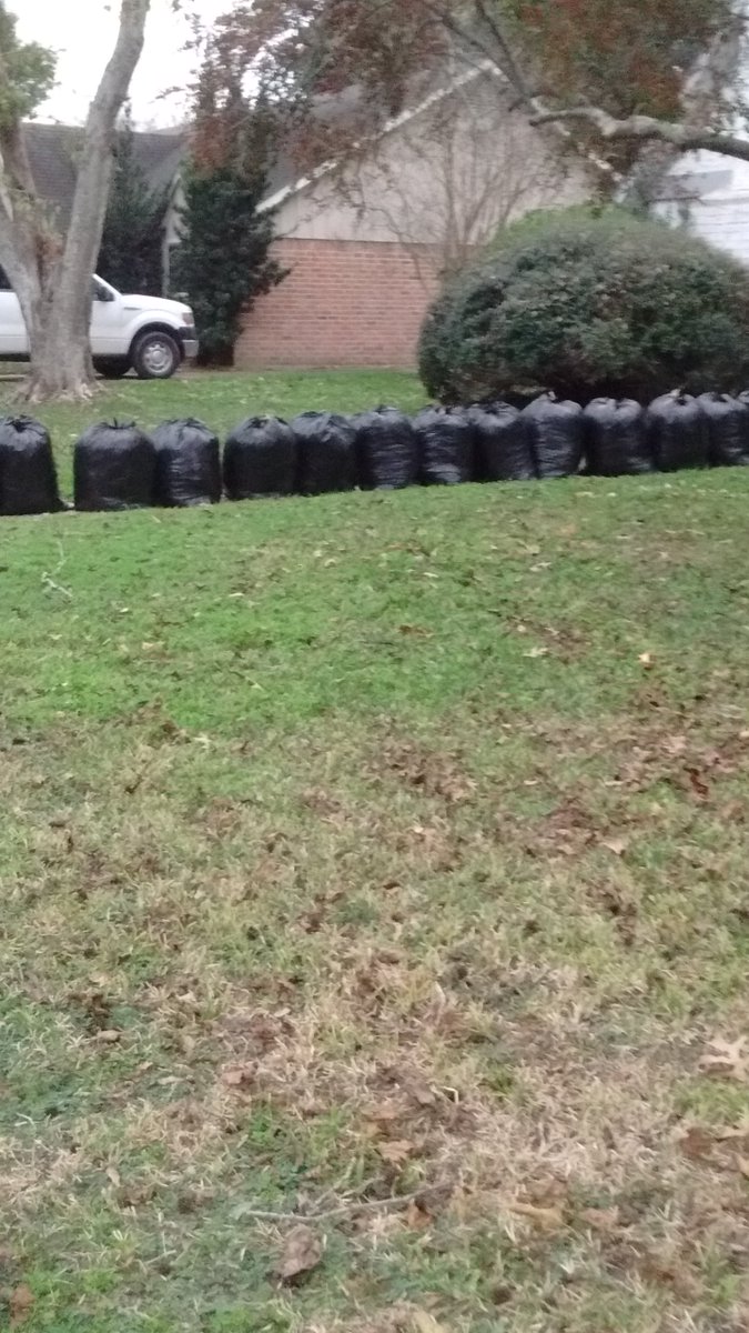 WelcGeorge's tweet photo. A bit too much leaves https://t.co/TBcqfKE1dX