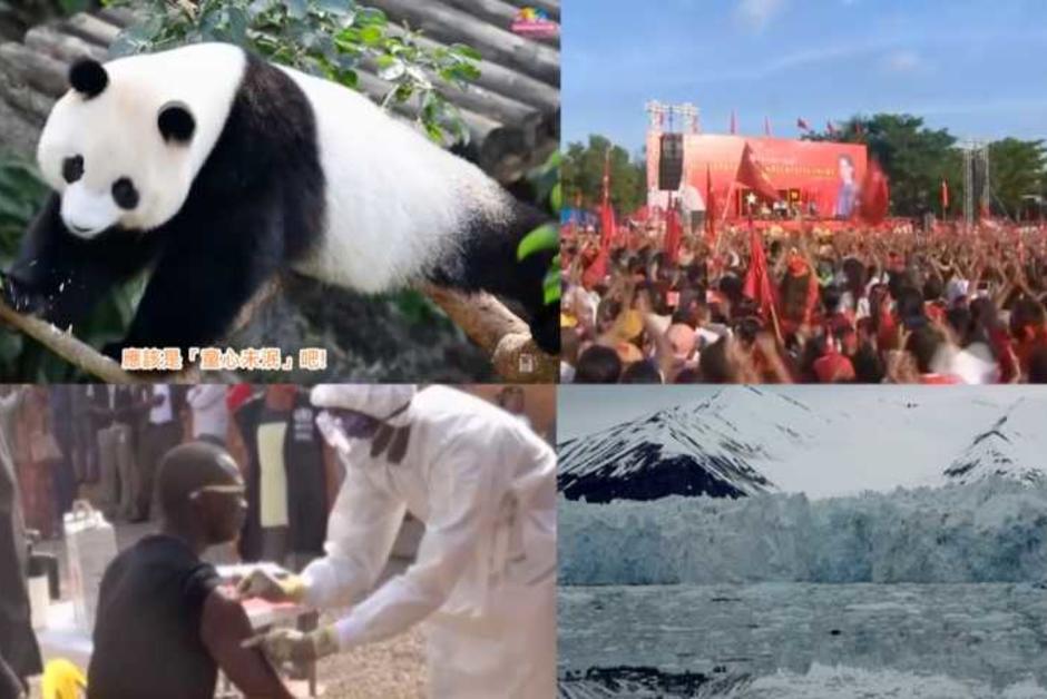 courrierinter's tweet photo. Rétrospective. Tour du monde des bonnes nouvelles de 2016 https://t.co/JVboboZSMc https://t.co/F6AkFCUa0o