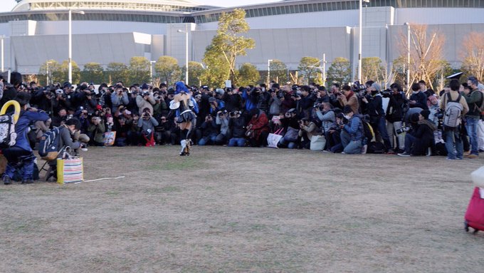Twitterのコスプレ画像6