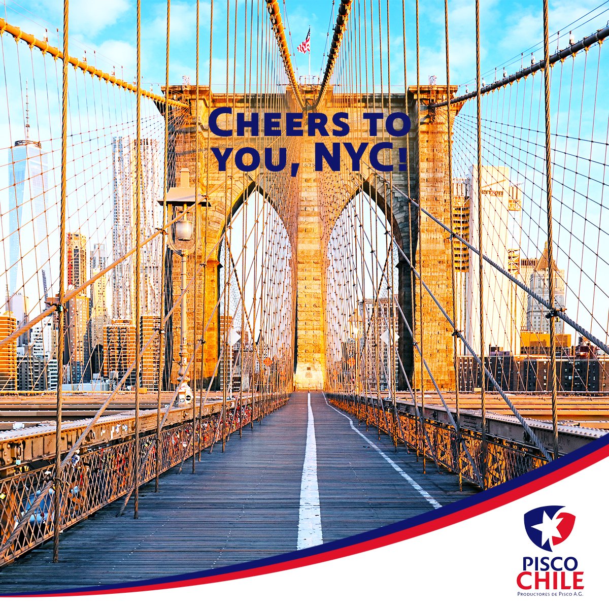 PiscoChile's tweet photo. Cheers to you, #NYC! Thanks for drinking Pisco! https://t.co/vfJHkbgZLx