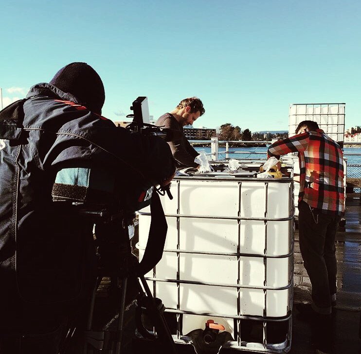 ally_dewji's tweet photo. Excited to see #Thinkcubes art installation set up at the inner harbour #yyj for tomorrow's @Spirit150Vic celebration! 📷 by:@monkeyCInteract https://t.co/bUebLKP9l5