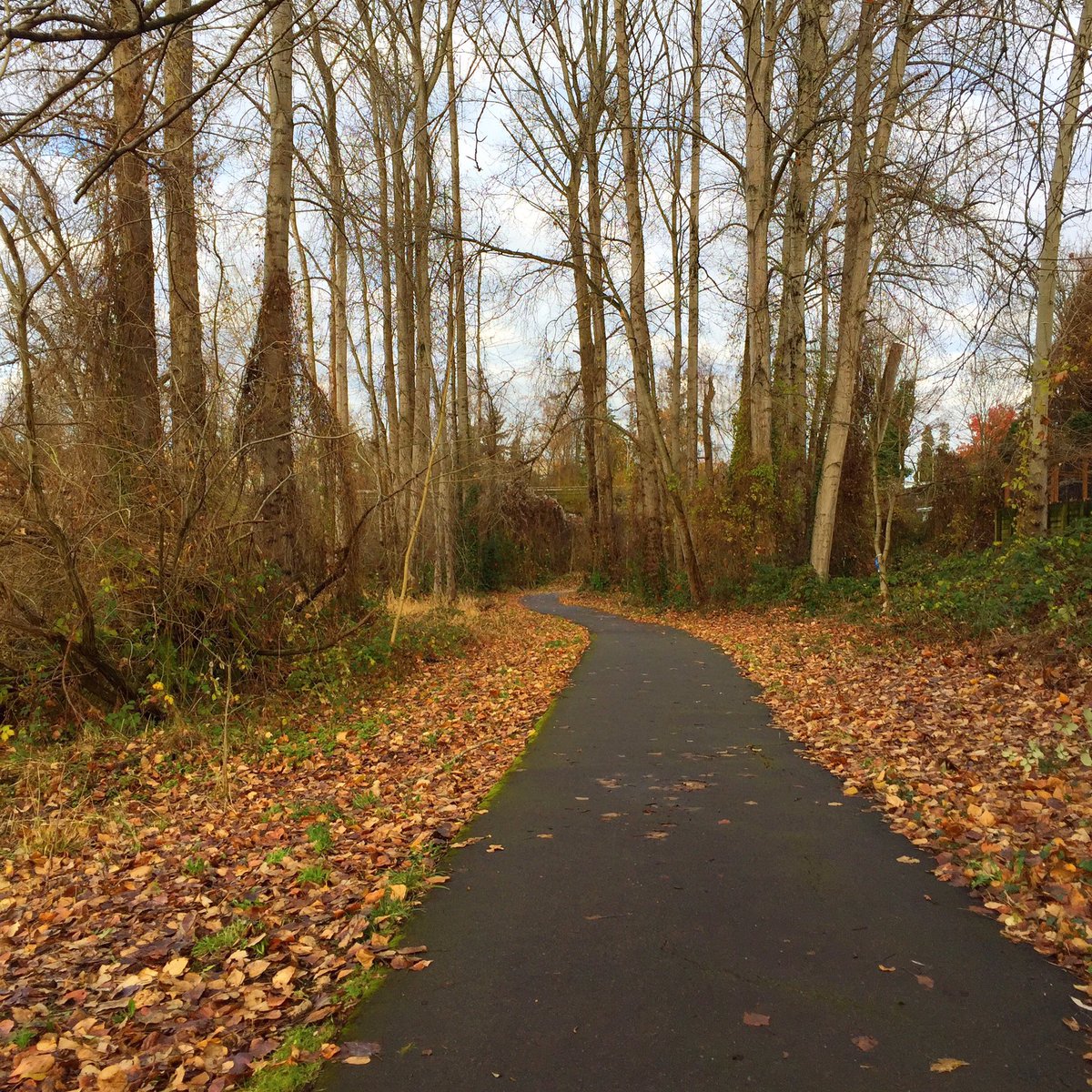 CourtStrand's tweet photo. The view from my #TempoRun #Running #UpperLeftUSA #CourtRuns #Seattle #MyRunningPostcards https://t.co/1TVOtiJvLR