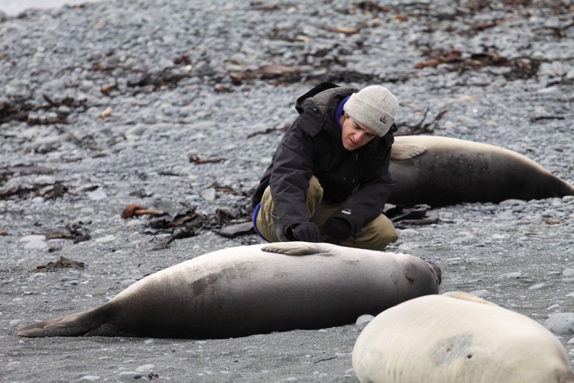 YTS_UTAS's tweet photo. Our #YTS alumni &amp; twitter photo-model Dr Ben Arthur just received his PhD @IMASUTAS @UTAS_ - researching fur seals! https://t.co/jRpQZQ32I9 https://t.co/VRXbpepy1L