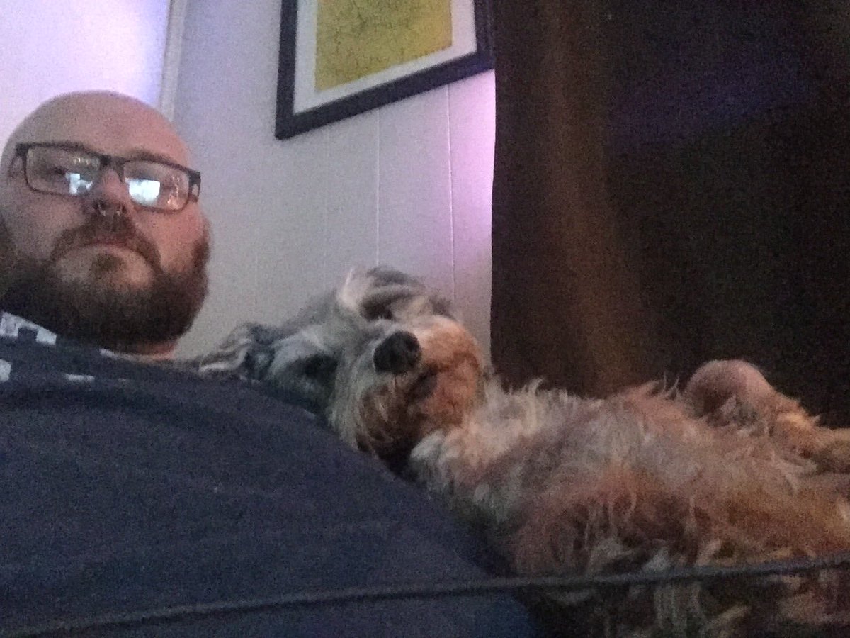 justrivers's tweet photo. How my schnauzer watches Star Wars with me. https://t.co/FVFrsYp62Z