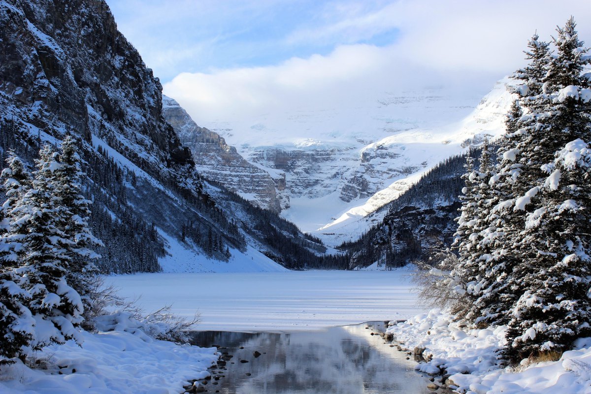 TheCuteWrld's tweet photo. Lake Louise, Banff, Canada in December  -For more https://t.co/LDIgw67azV https://t.co/M7enTqBLMj