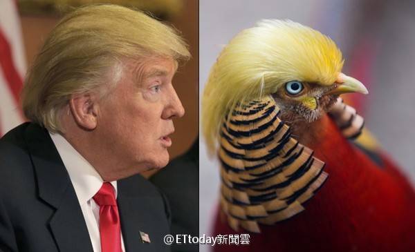 candyftt0105's tweet photo. @realDonaldTrump you are too noisy ,God bless America。。。。。 https://t.co/qnHITyblPa