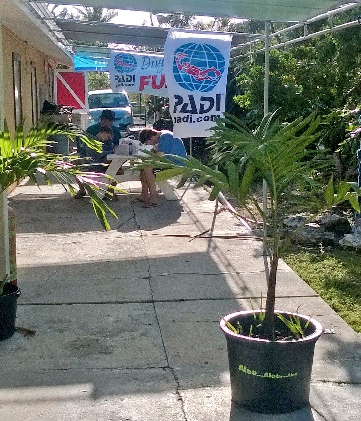 DiveTimeAbaco's tweet photo. Awesome day to sign up for PADI Open Water Diver @AbacoBeach resort. #Padi #divetimeabaco https://t.co/Ty8y3w3eLT