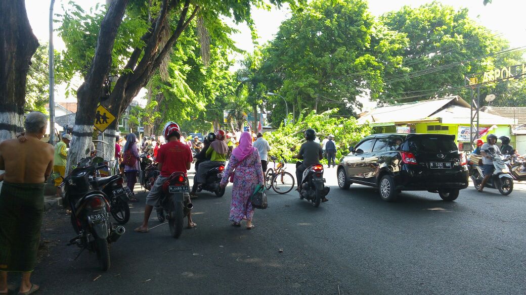 dewidira's tweet photo. https://t.co/hu3niFUhVj