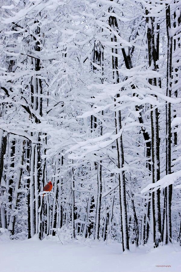 ericschurchnst8's tweet photo. Cold December Flies Away https://t.co/zAIqnl7NCP