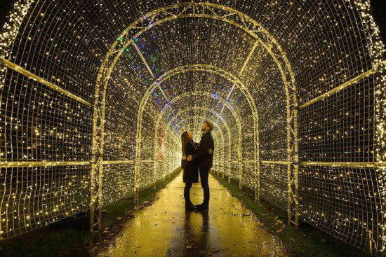 MyVancouver's tweet photo. Here are just 5 of the best places in #Vancouver to gaze at the glowing holiday lights this month: https://t.co/18prFrp5wq | cc: @BitsofBee https://t.co/zCdeflHXyc