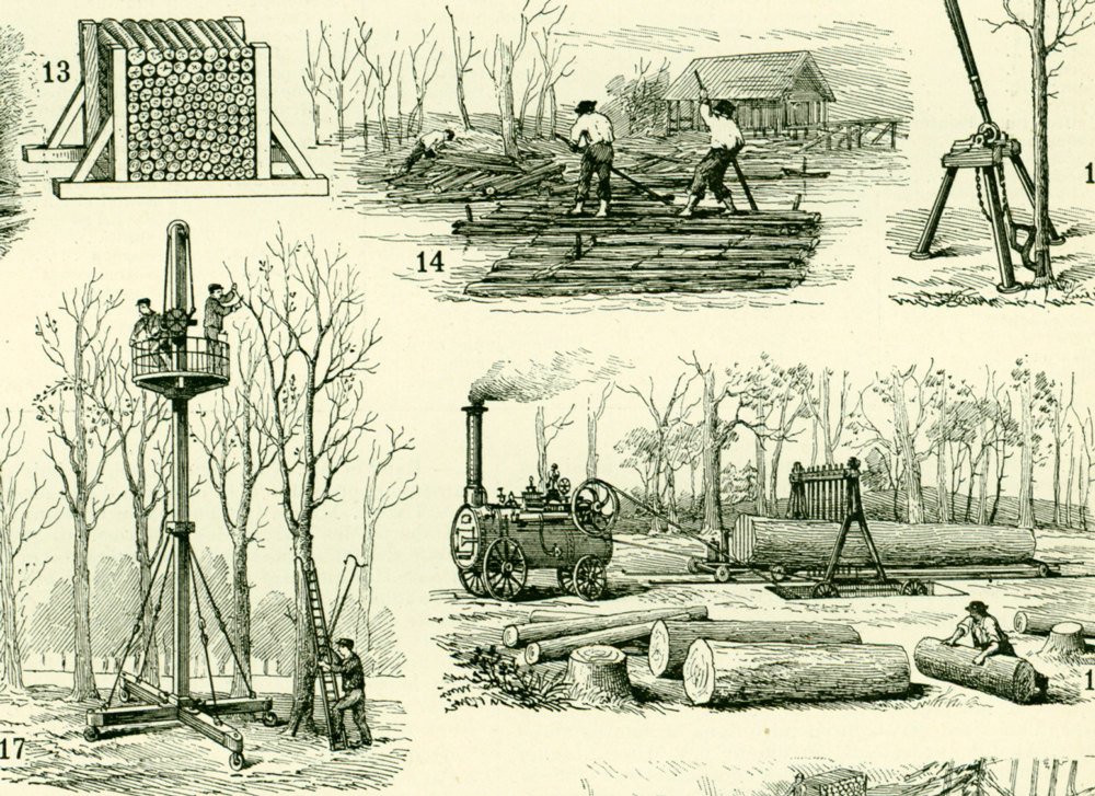 sofrenchvintage's tweet photo. 1897 Antique logging print, Timber industry, Antique Large Si… https://t.co/WivsXMkhXb #sofrenchvintage #ForestPrint https://t.co/Tm3XCpa0rS