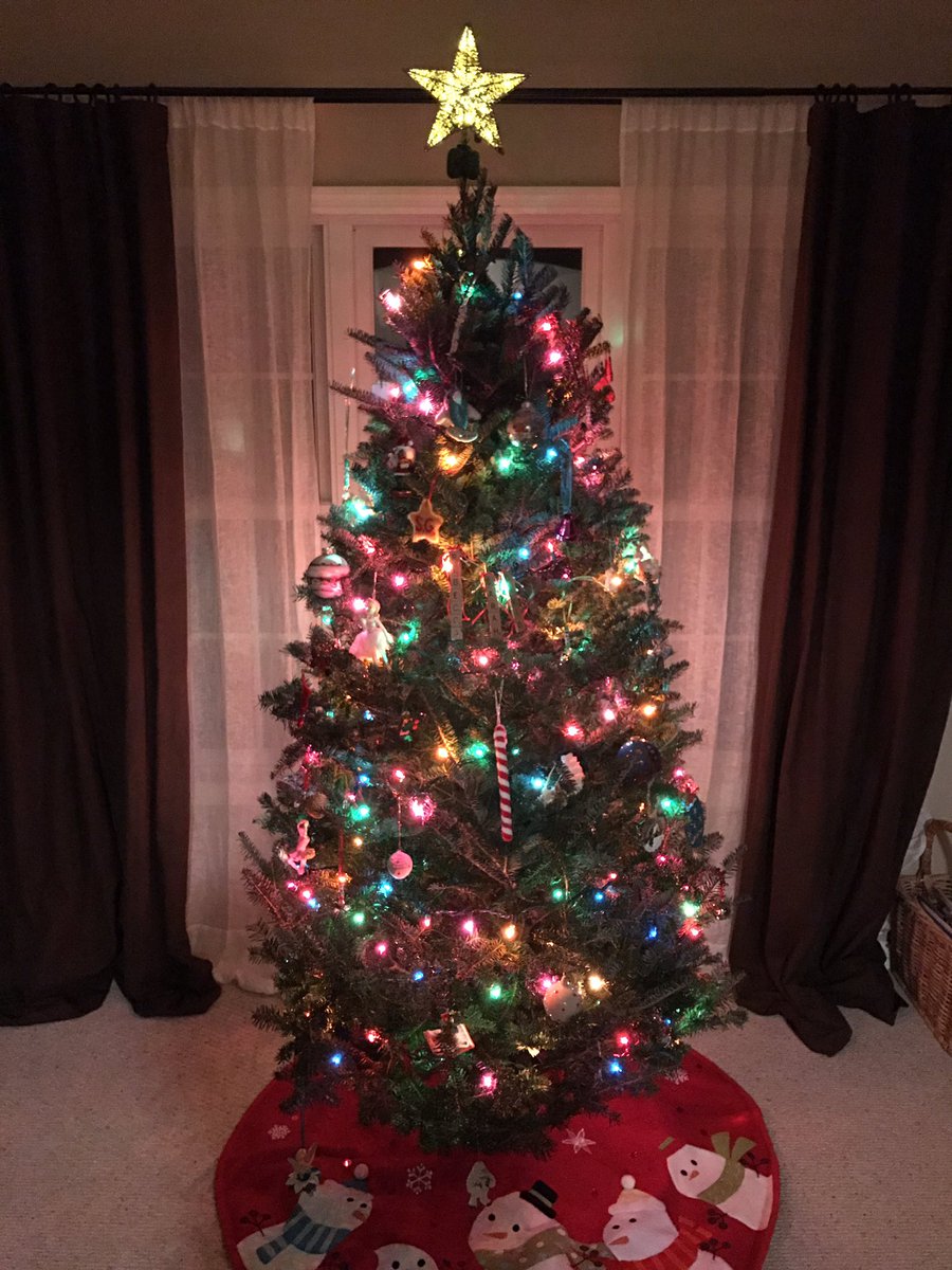 FlagPoints's tweet photo. How bout #noleds. ('cept the star) #Christmas https://t.co/S9YhHFQj8b