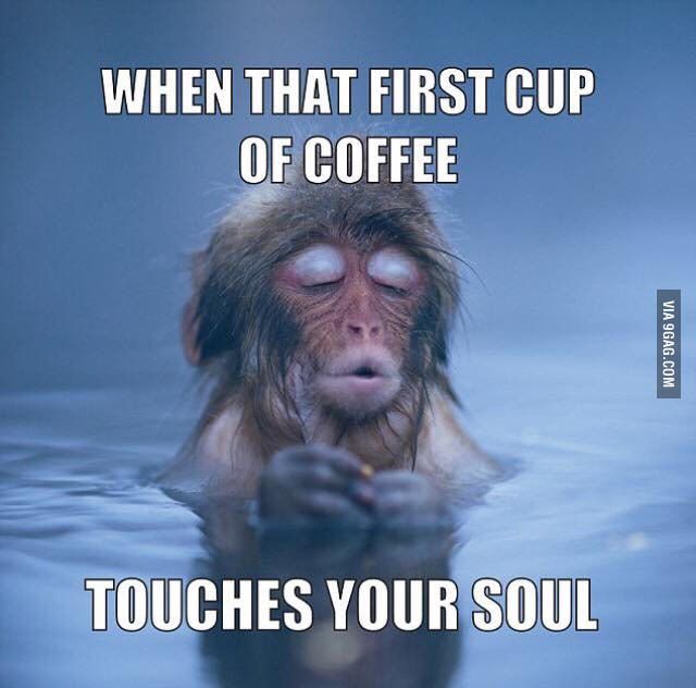 9GAG's tweet photo. But I have no soul.
https://t.co/dW6HoqBSSC https://t.co/ID6L2ZFiPX