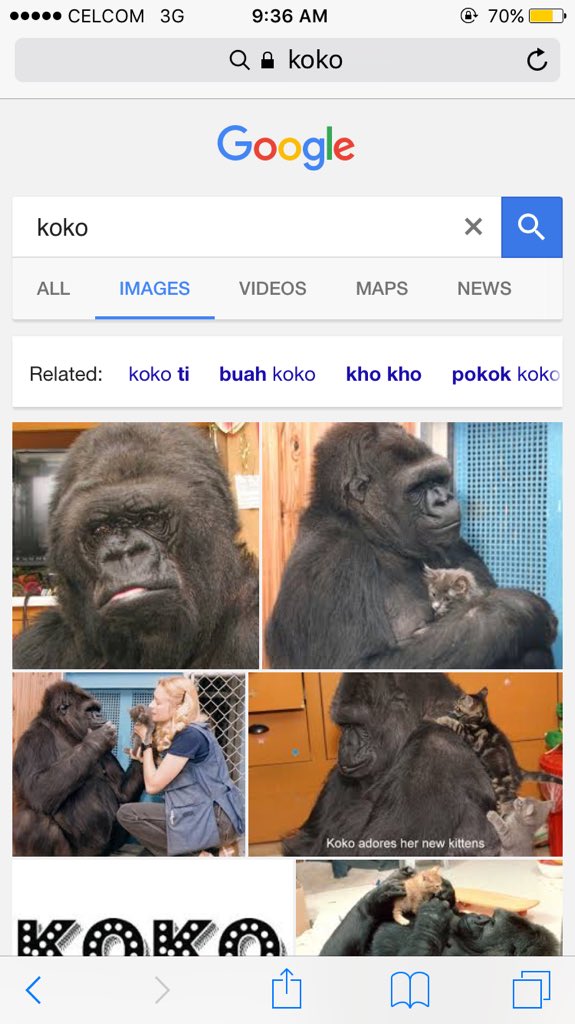 KhalifahMedia's tweet image. Baca tweet pasal si coco perampas, coco budak PPRT.

Aku pun search lah kt google. mati2 aku ingat ni dia. rupanya ejaan slh.

😂😂😂💔💔💔💔