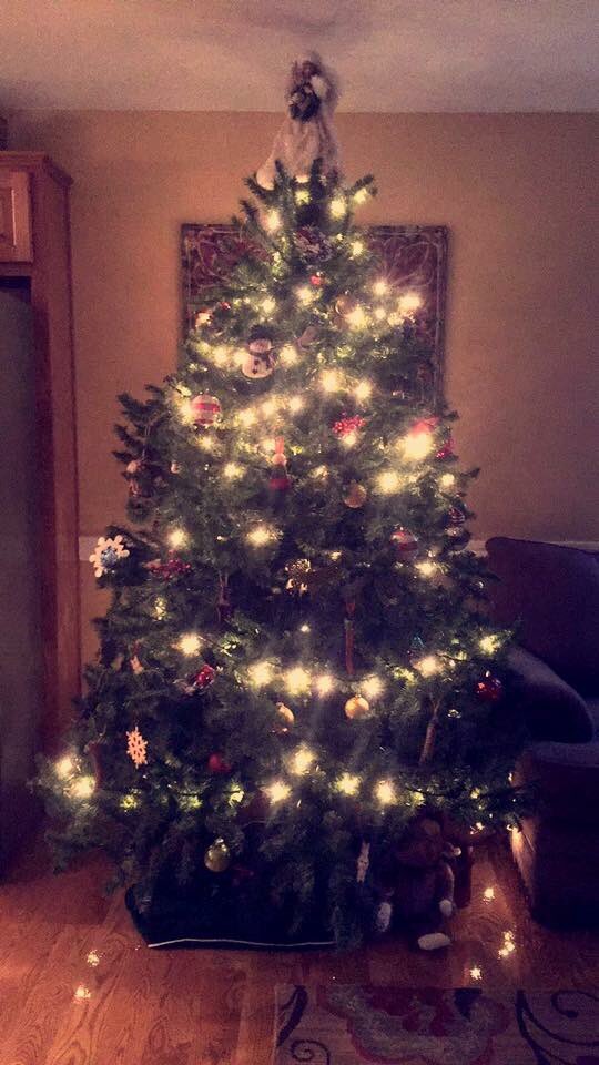 IowaHoneybee's tweet photo. Oh Christmas tree 🎄🎶 https://t.co/DLum3MxfO9
