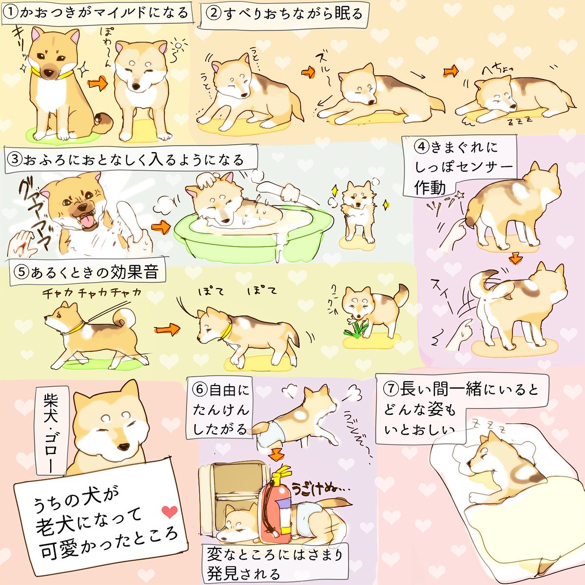 動物,犬,猫,しつけ,飼い方,育て方,病気,健康