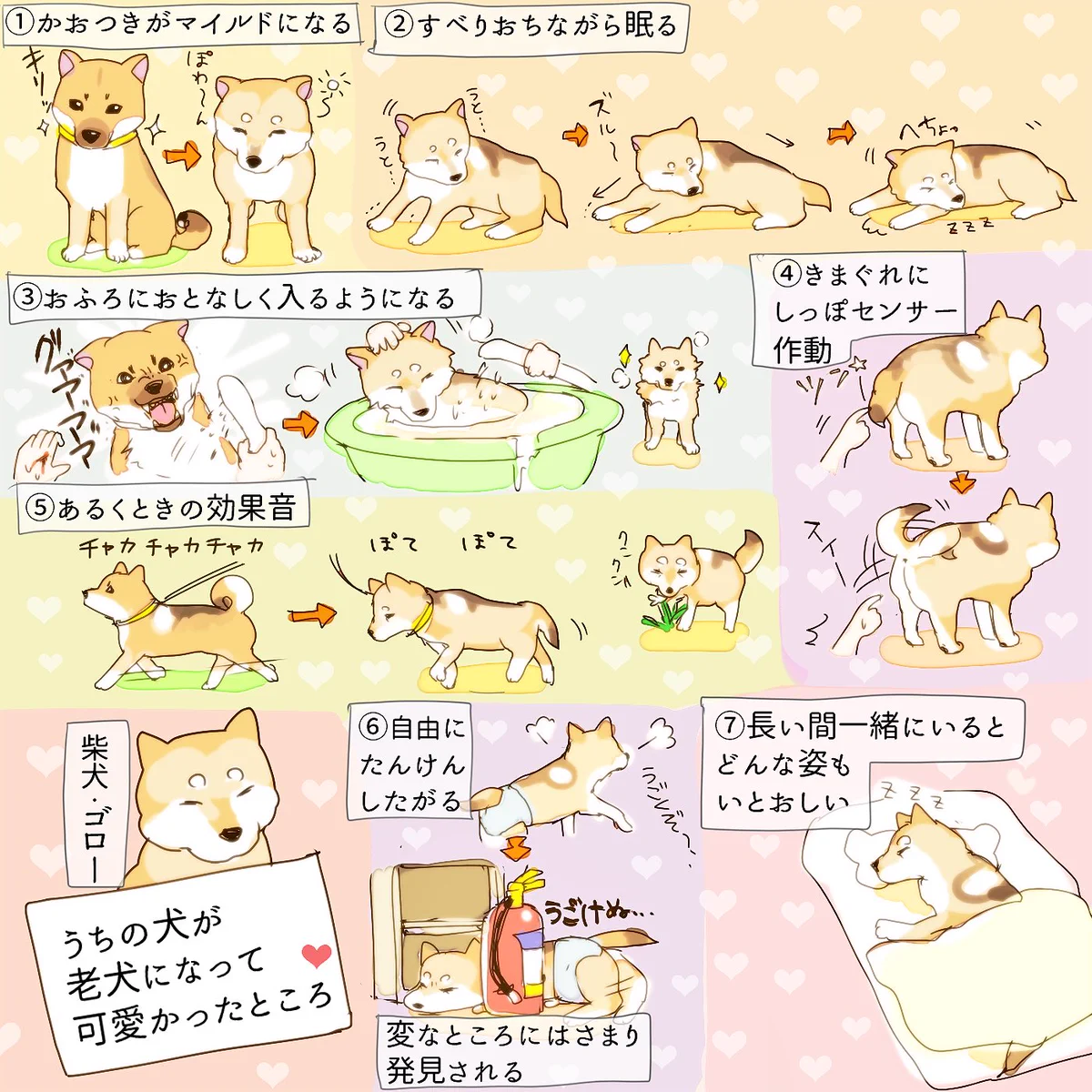 子犬だけじゃなく？老犬にだってかわいい所があることを認識しよう！