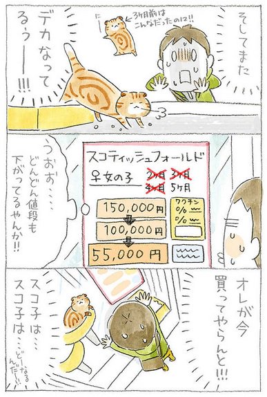 ねこねこ横丁編集部 No Twitter Pixivコミック Comip にて まめねこ ねことじいちゃん で人気のねこまき先生 ちびネコ どんぐり 第10話更新 妻と猫達に内緒で気になっている あの娘 のもとへ通うパンイチ 旦那 の運命は T Co Yztsk739bz