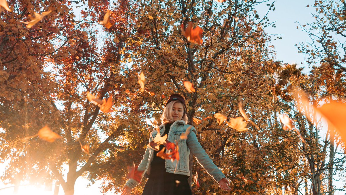 FormulaArts's tweet photo. Late Fall • #formulaarts https://t.co/sWk2N6AAUE