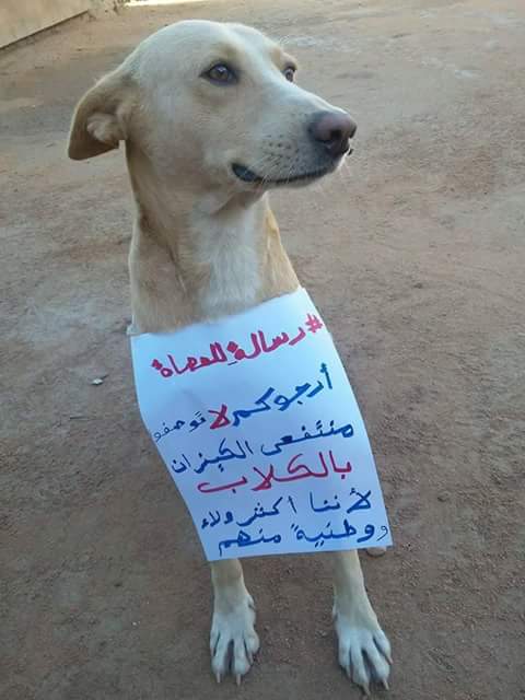 عصينا عصينا