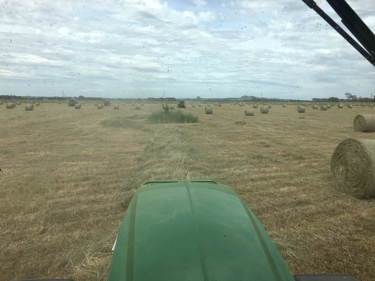 matt_glennen's tweet photo. Kolora Noorat FNC hay cut 2016. Great fundraiser for the club. #noshortageofrolls #hay16 https://t.co/AWwBeWo6Ht