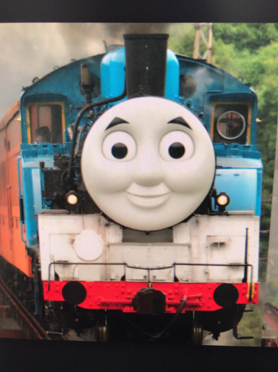 ビューティープラスでトーマス撮ったらトー娘になってしまったw これ恋してる女の顔じゃねかwww