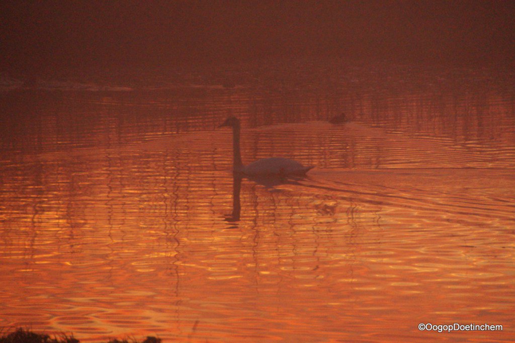 Zonsopkomst (klik op foto voor meer) oogopdoetinchem.nl/2016/12/19/zon…