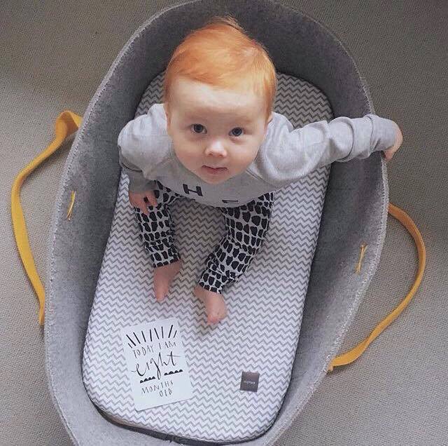 mokee moses basket