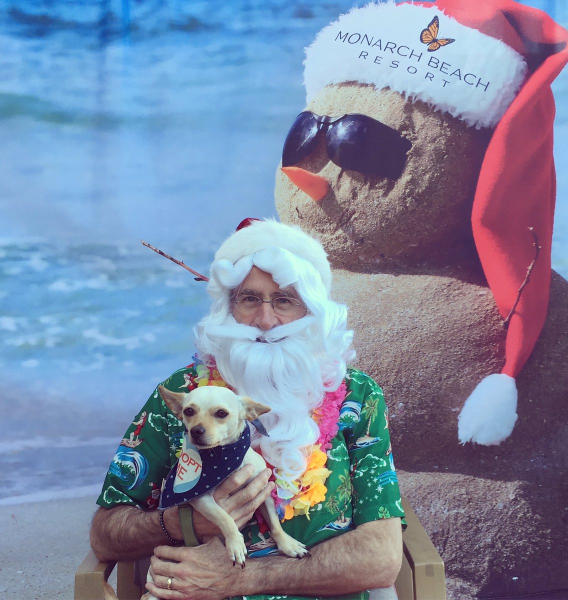 Pete wasn't sure about meeting Santa, but he's ready to get a home for the holidays: adopt@thepetrescuecenter.org