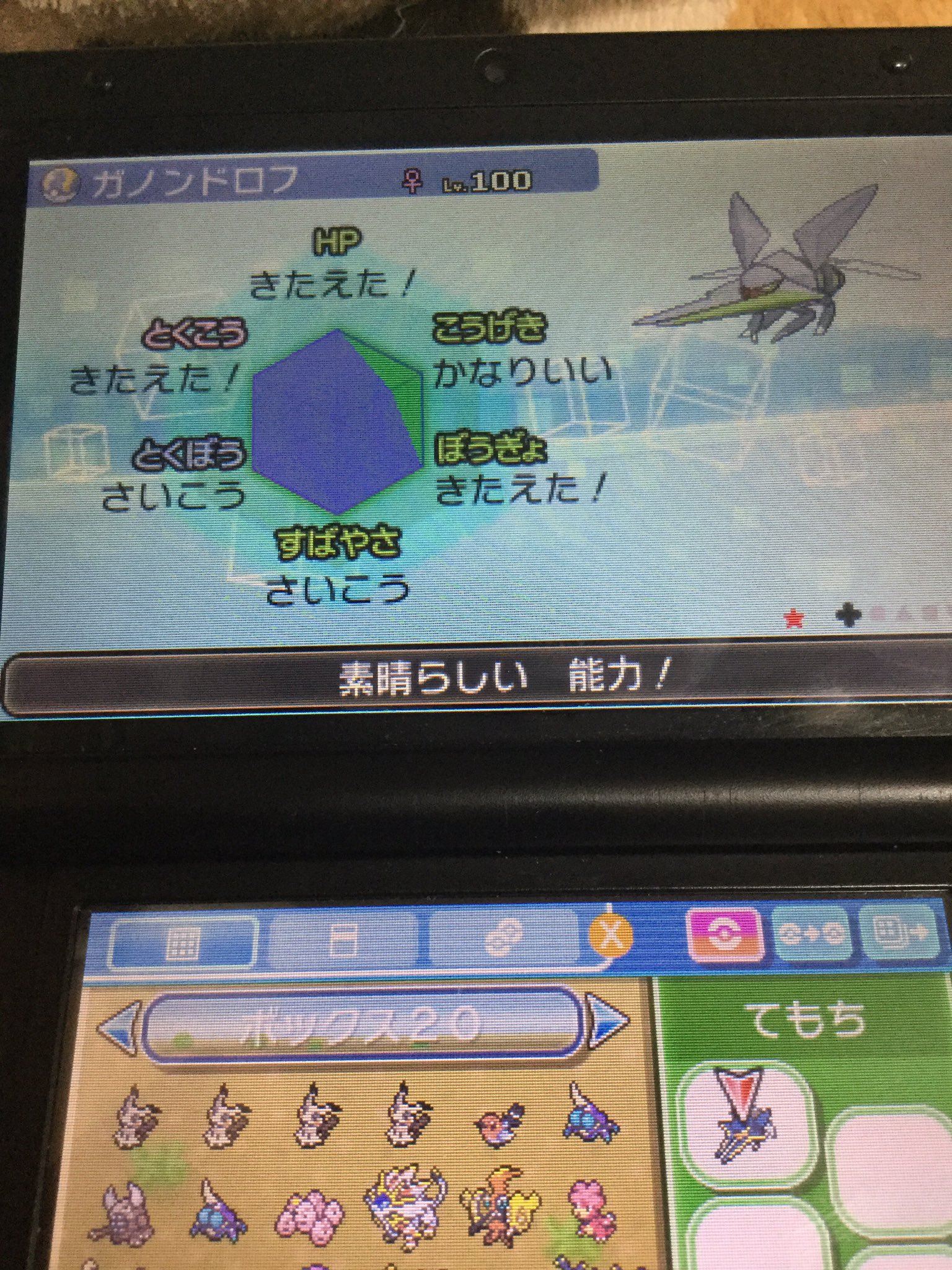 フカ ドンチッチ っし まずは一体 しんど これをあと4体か あとの一体は無振り予定 ポケモンサンムーン 色違い クワガノン すごいとっくん しんどすぎィ T Co Oezys8wwgd Twitter フカ ドンチッチ っし まずは一体 しんど これをあと4体か あとの一体は無振り予定 ポケモンサンムーン 色違い クワガノン すごいとっくん しんどすぎィ T Co Oezys8wwgd Twitter