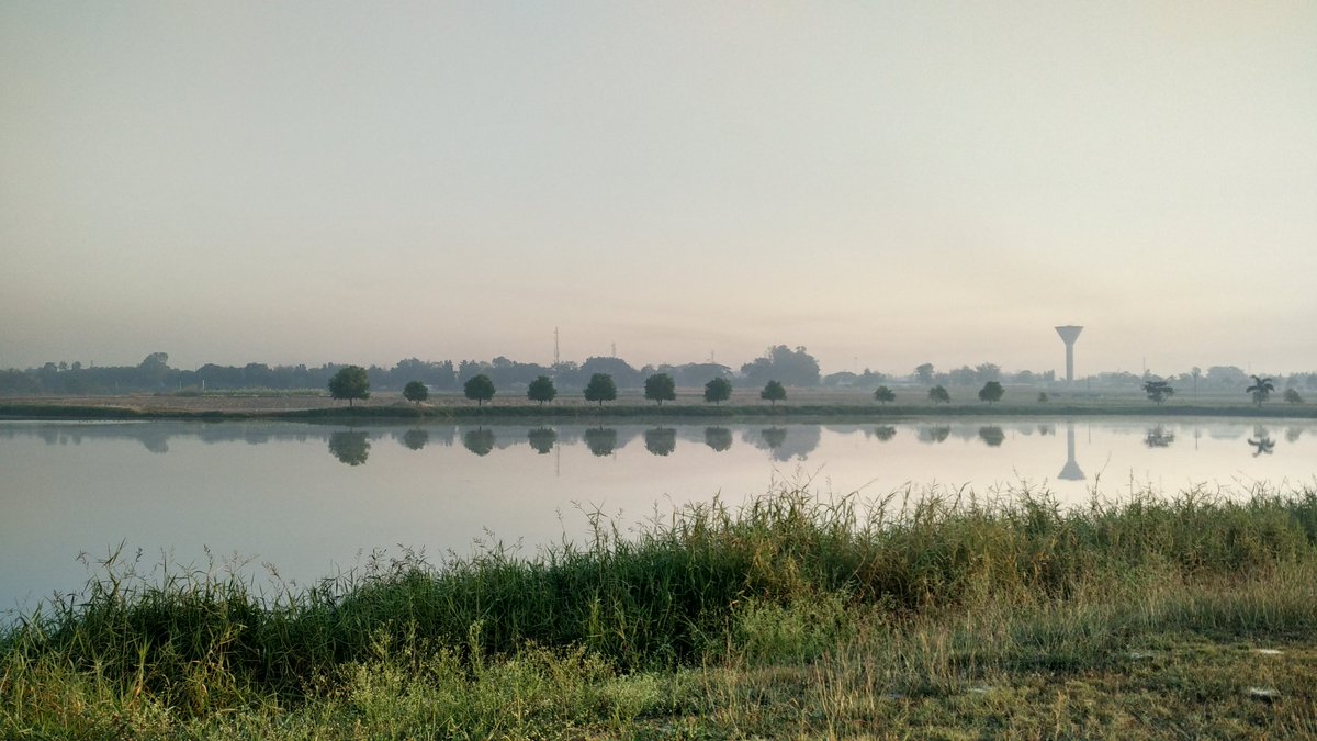 ownurendurance's tweet photo. Absolutely beautiful 21kms #trailrunning inside #ICRISAT campus, near #Hyderabad
#MilesForMillets #MeraTerahRun #MondayMotivation https://t.co/i0OWQmKWQt