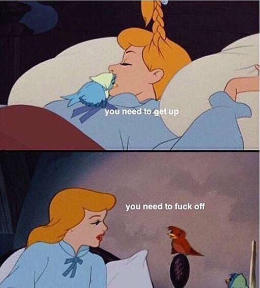 StumblerTop's tweet photo. me every morning https://t.co/n0g5loNolT