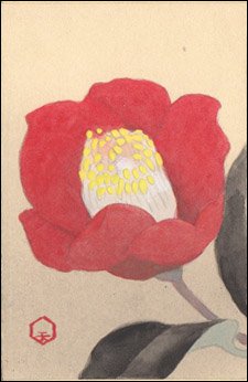 日本の誕生花 １２月１９日の誕生花 寒椿 かんつばき 花言葉 ひるむ事なく 山茶花の園芸種 シシガシラとも呼ばれているタチ寒椿は よく垣根などに使われています 名前の通り 寒くなればなるほど満開になっていく姿は 実に頼もしい T