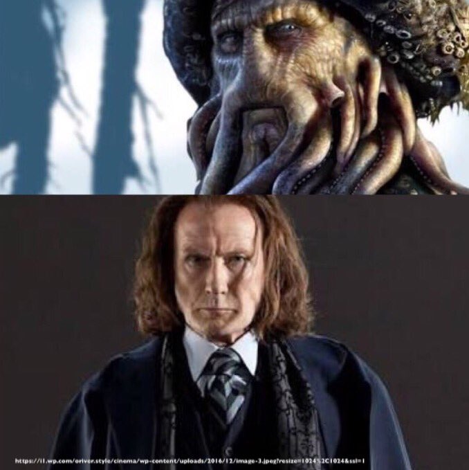 ミーハーな映画好き A Twitter あの映画とこの映画を繋げる 死の秘宝 で 新たな魔法大臣 ルーファススクリムジョールを 演じていたのは なんと パイレーツオブカリビアン の デイヴィ ジョーンズ を 演じていたビル ナイ デイヴィの方が顔が不明なので