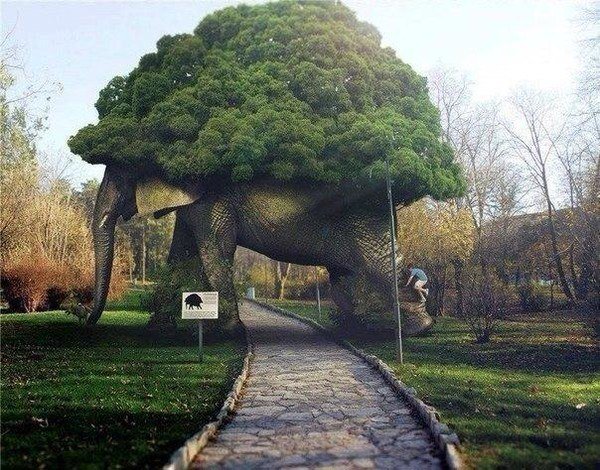 💥Дерево - шедевр. Сад Folly в Великобритании.💥
#фото