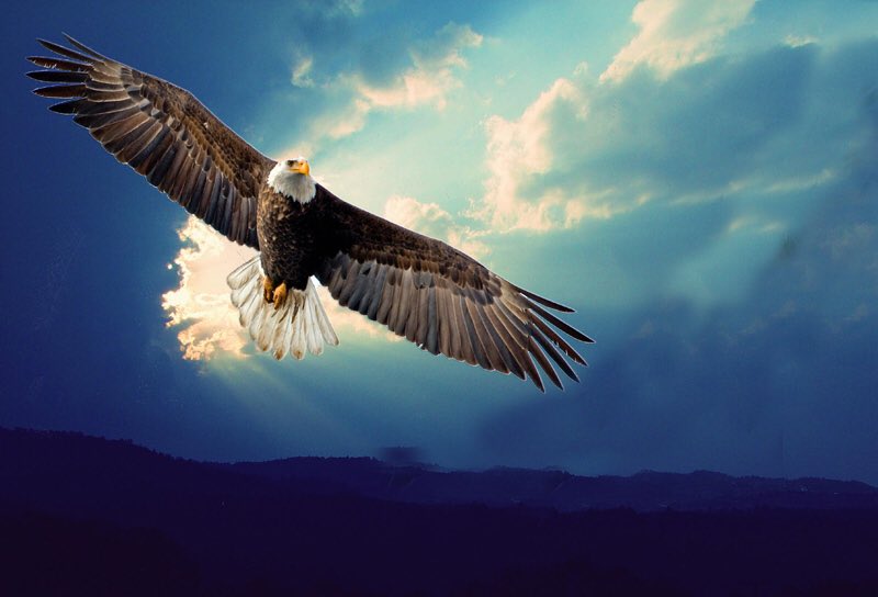 Será tu ACTITUD la que determine tu ALTITUD...

#FelizLunes #Quote