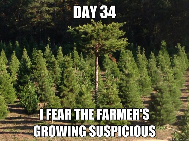 GGeeklets's tweet photo. #sneaky #ninjatree #christmas https://t.co/pTovpyJJAI
