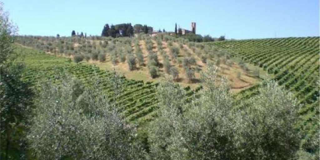 Natura, relax o escursioni in #Toscana? Agriturismo Podere Cappella! goo.gl/KpVFH4