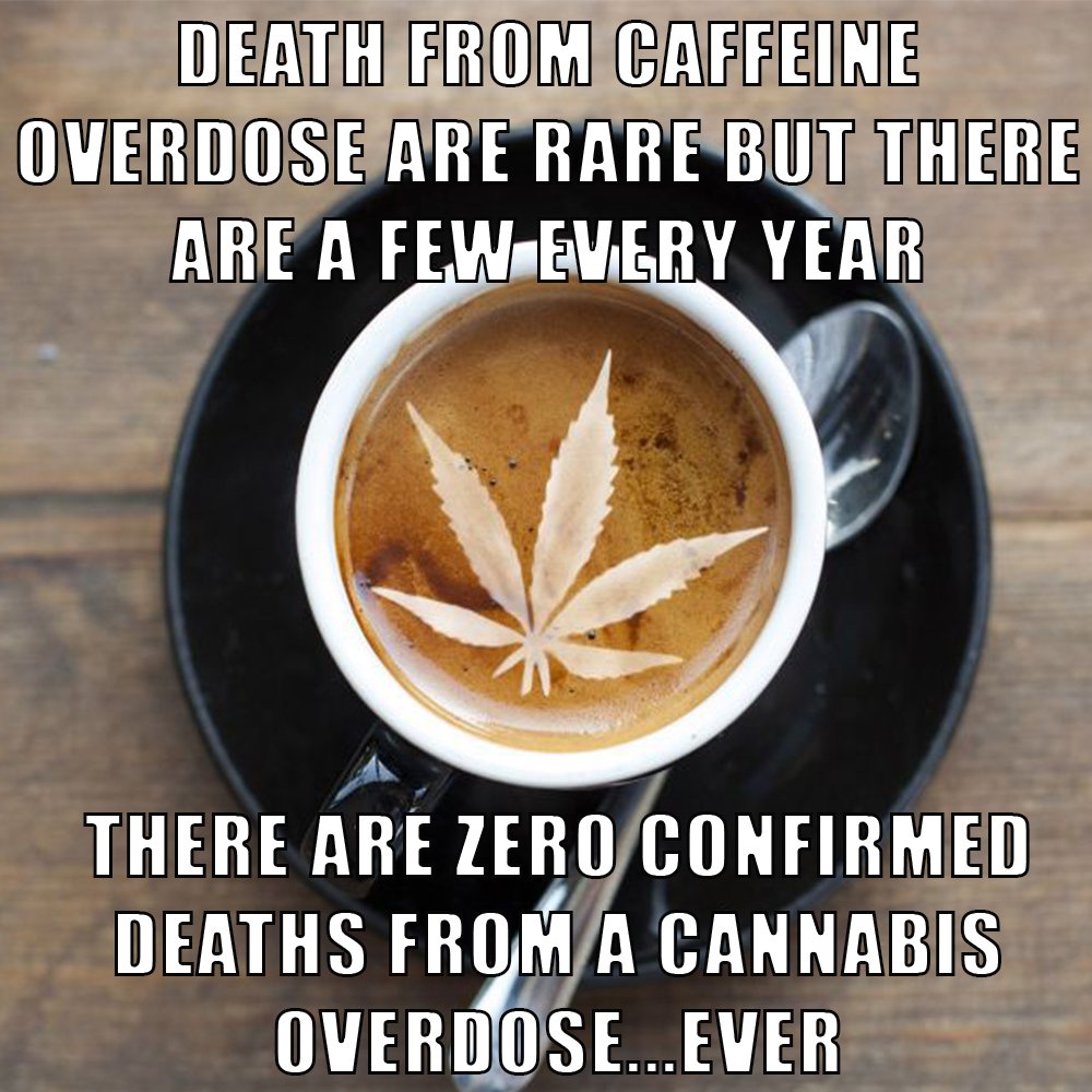 MedMarijuanaUK's tweet photo. #MedicalMarijuana #CannabisCures https://t.co/ujv9zMBNlJ