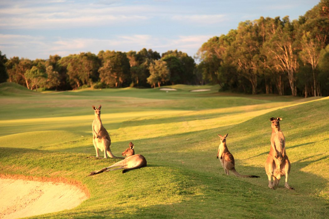 BLOG:  So you want to play golf on the Sunshine Coast? j.mp/1lH2TV7
 #thisisqueensland