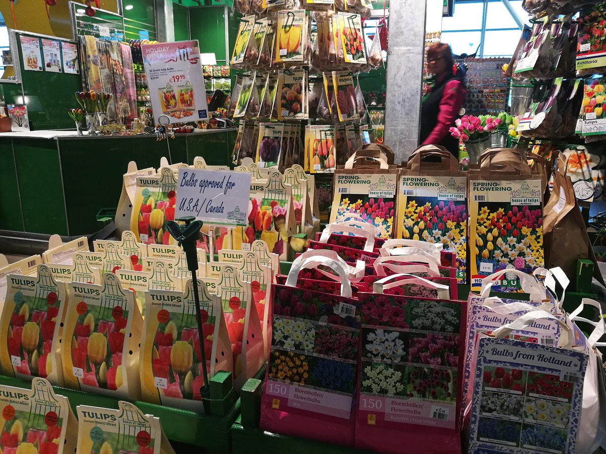 BreezyRivulet's tweet photo. Flower shop at Amsterdam Airport. #amsterdam #airport #flower https://t.co/vbtK7WdXDh