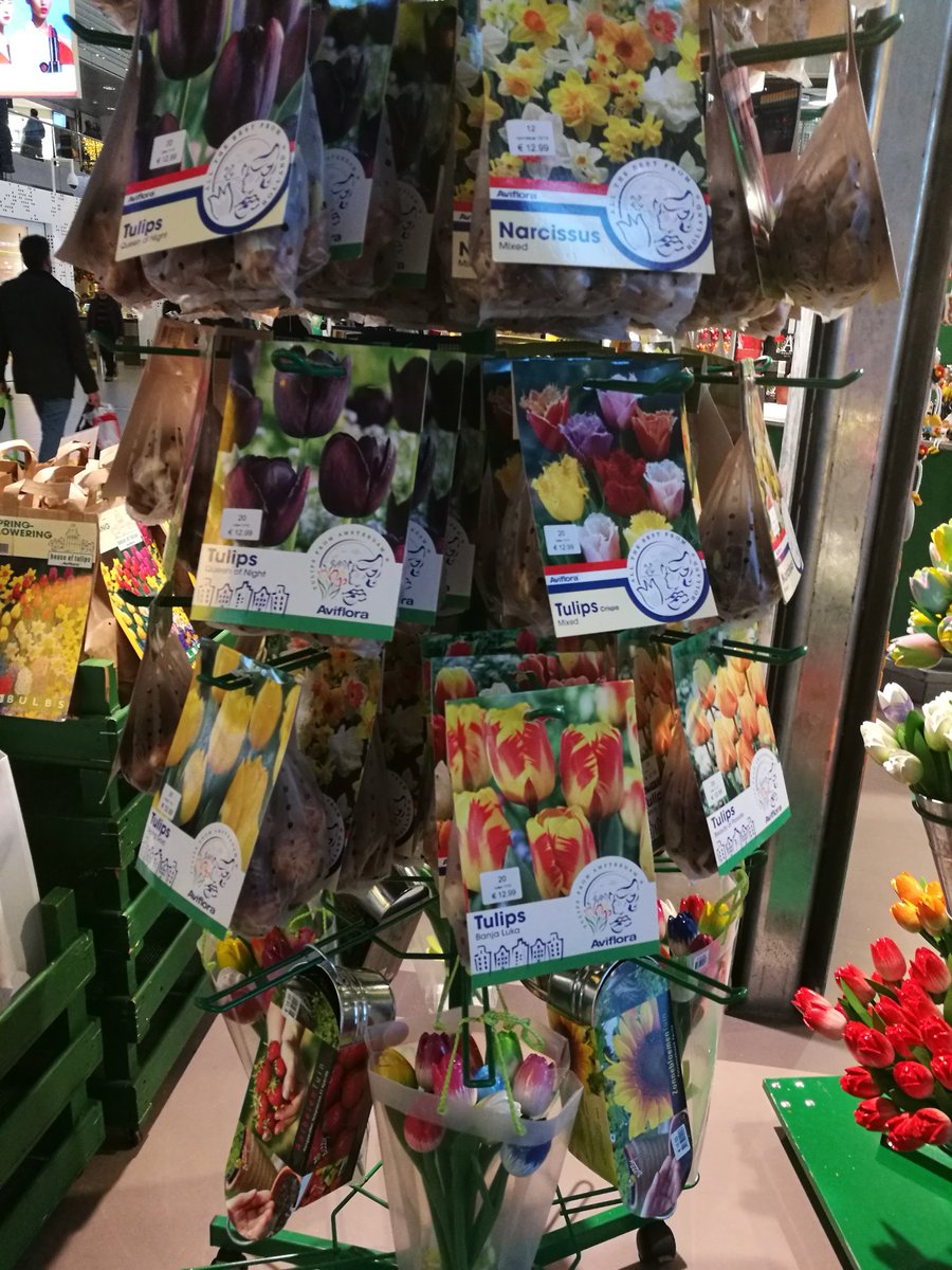 BreezyRivulet's tweet photo. Flower shop at Amsterdam Airport. #amsterdam #airport #flower https://t.co/vbtK7WdXDh